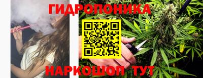 apvp Ачхой-Мартан
