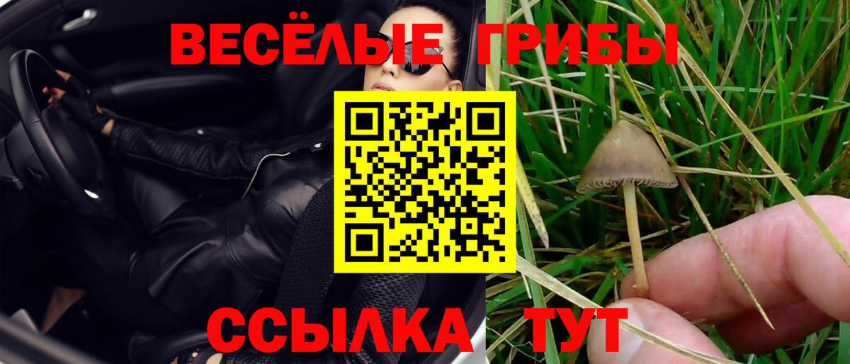 Псилоцибиновые грибы Psilocybe  Вход с VPN  Бугуруслан 