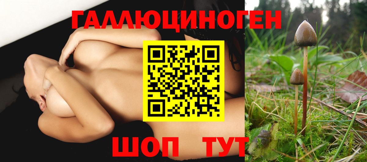 Галлюциногенные грибы прущие грибы Бугуруслан